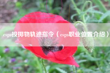 csgo投掷物轨迹指令（csgo职业位置介绍）