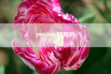 f999(f999r好用吗)