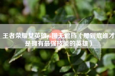 王者荣耀女英雄ps图无遮挡（那到底谁才是拥有最强技能的英雄）