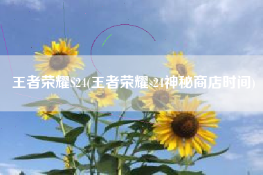 王者荣耀s24(王者荣耀s24神秘商店时间)