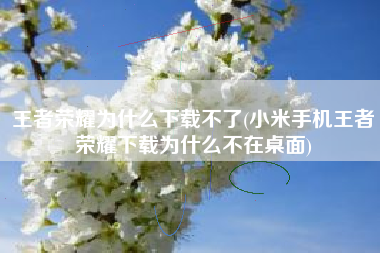 王者荣耀为什么下载不了(小米手机王者荣耀下载为什么不在桌面)