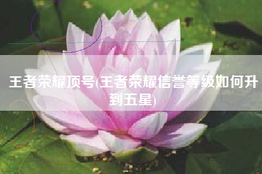 王者荣耀顶号(王者荣耀信誉等级如何升到五星)