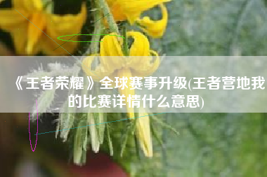 《王者荣耀》全球赛事升级(王者营地我的比赛详情什么意思)
