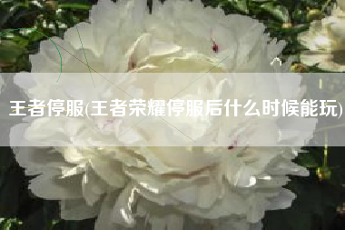王者停服(王者荣耀停服后什么时候能玩)