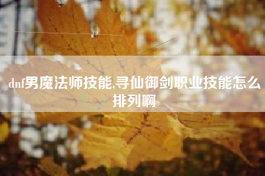 dnf男魔法师技能,寻仙御剑职业技能怎么排列啊