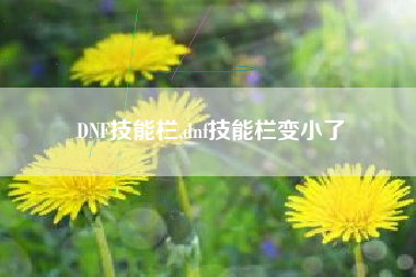 dnf技能栏,dnf技能栏变小了