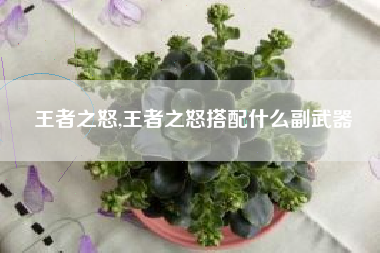 王者之怒,王者之怒搭配什么副武器