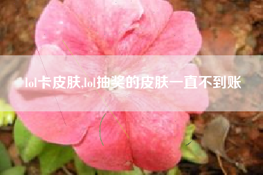 lol卡皮肤,lol抽奖的皮肤一直不到账