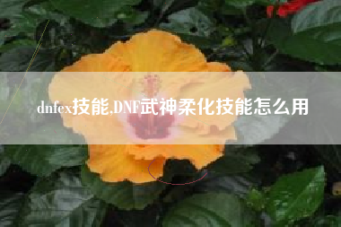 dnfex技能,dnf武神柔化技能怎么用
