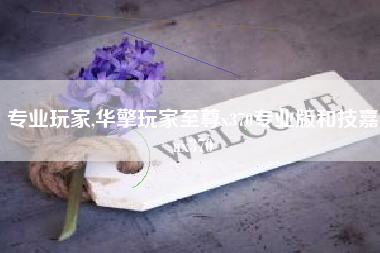 专业玩家,华擎玩家至尊x370专业版和技嘉ax370