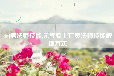 dnf男法师技能,元气骑士亡灵法师技能解锁方式
