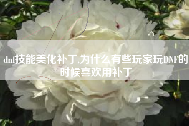 dnf技能美化补丁,为什么有些玩家玩dnf的时候喜欢用补丁