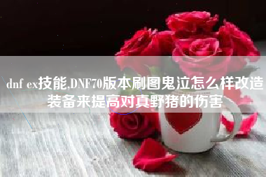 dnf ex技能,dnf70版本刷图鬼泣怎么样改造装备来提高对真野猪的伤害