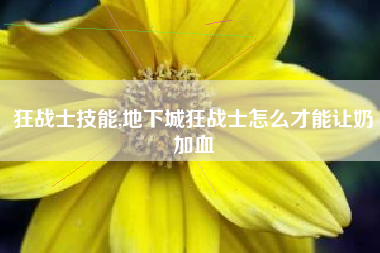 狂战士技能,地下城狂战士怎么才能让奶加血