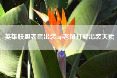 英雄联盟老鼠出装,ap老鼠打野出装天赋
