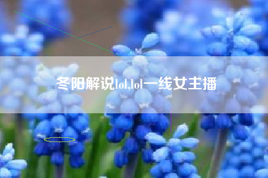 冬阳解说lol,lol一线女主播