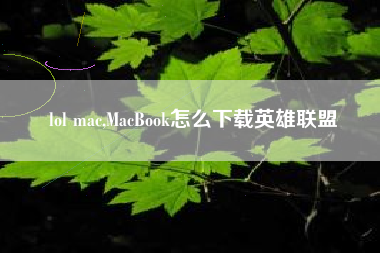 lol mac,macbook怎么下载英雄联盟