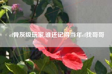 cf骨灰级玩家,谁还记得当年cf找哥哥