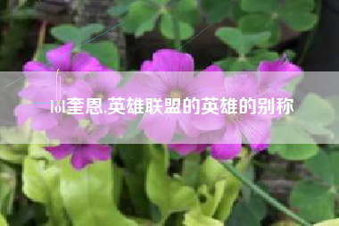 lol奎恩,英雄联盟的英雄的别称