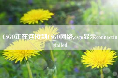 csgo正在连接到csgo网络,csgo显示connectingfailed