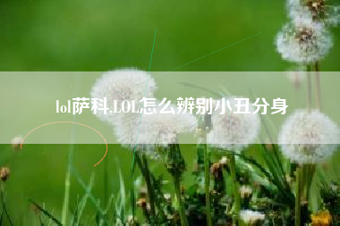 lol萨科,lol怎么辨别小丑分身