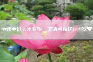 99元手机,99元套餐一主两副赠送100m宽带