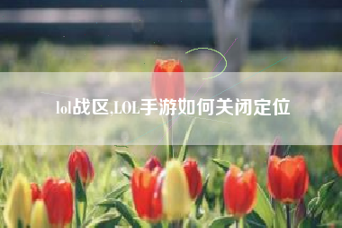 lol战区,lol手游如何关闭定位