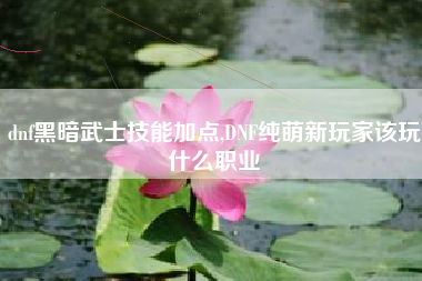 dnf黑暗武士技能加点,dnf纯萌新玩家该玩什么职业