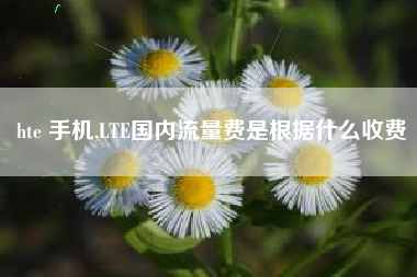 hte 手机,lte国内流量费是根据什么收费