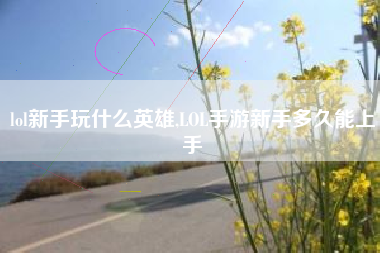 lol新手玩什么英雄,lol手游新手多久能上手