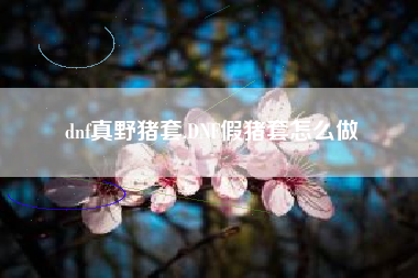 dnf真野猪套,dnf假猪套怎么做