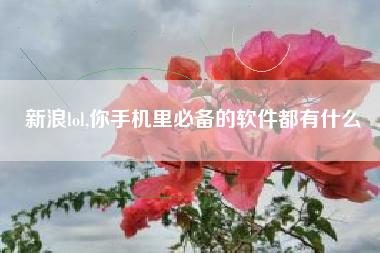 新浪lol,你手机里必备的软件都有什么 新浪lol,你手机里必备的软件都有什么