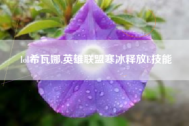 lol希瓦娜,英雄联盟寒冰释放e技能