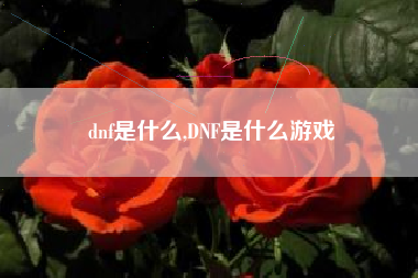 dnf是什么,dnf是什么游戏