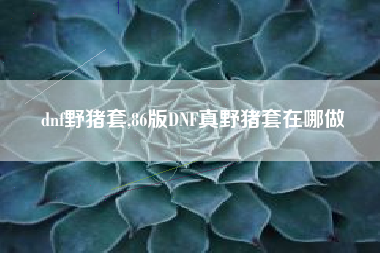 dnf野猪套,86版dnf真野猪套在哪做