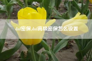 dnf密保,dnf高级密保怎么设置