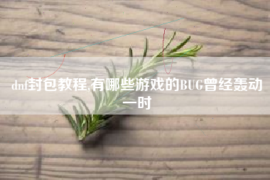 dnf封包教程,有哪些游戏的bug曾经轰动一时