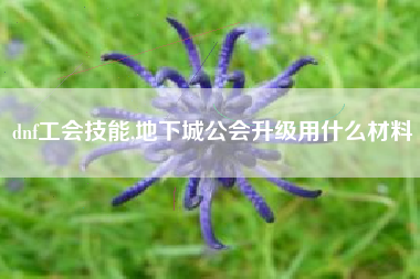 dnf工会技能,地下城公会升级用什么材料