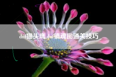 dnf猫头鹰,dnf镇魂图通关技巧