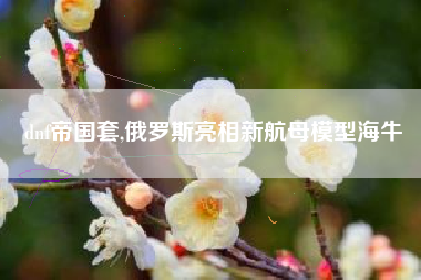 dnf帝国套,俄罗斯亮相新航母模型海牛