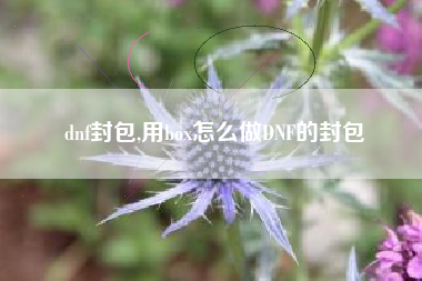 dnf封包,用box怎么做dnf的封包