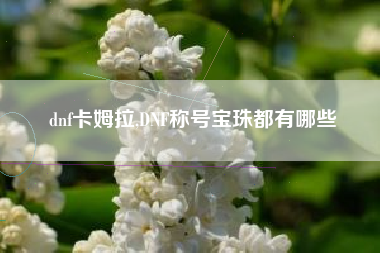 dnf卡姆拉,dnf称号宝珠都有哪些