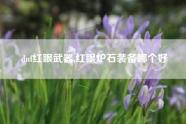 dnf红眼武器,红眼炉石装备哪个好