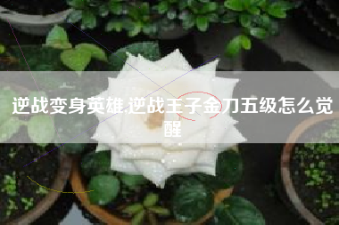 逆战变身英雄,逆战王子金刀五级怎么觉醒