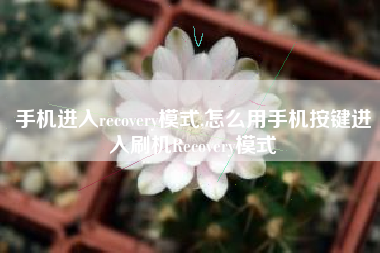 手机进入recovery模式,怎么用手机按键进入刷机recovery模式