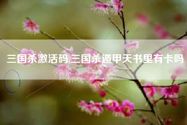 三国杀激活码,三国杀遁甲天书里有卡吗