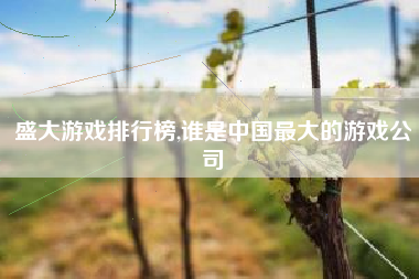 盛大游戏排行榜,谁是中国最大的游戏公司