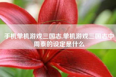 手机单机游戏三国志,单机游戏三国志中周泰的设定是什么