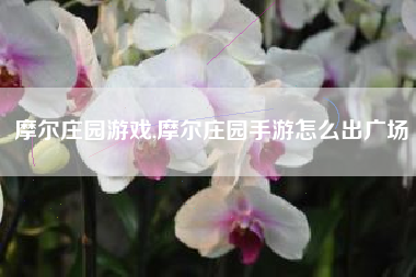 摩尔庄园游戏,摩尔庄园手游怎么出广场