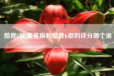 酷我k歌,麦客疯和酷我k歌的评分哪个准